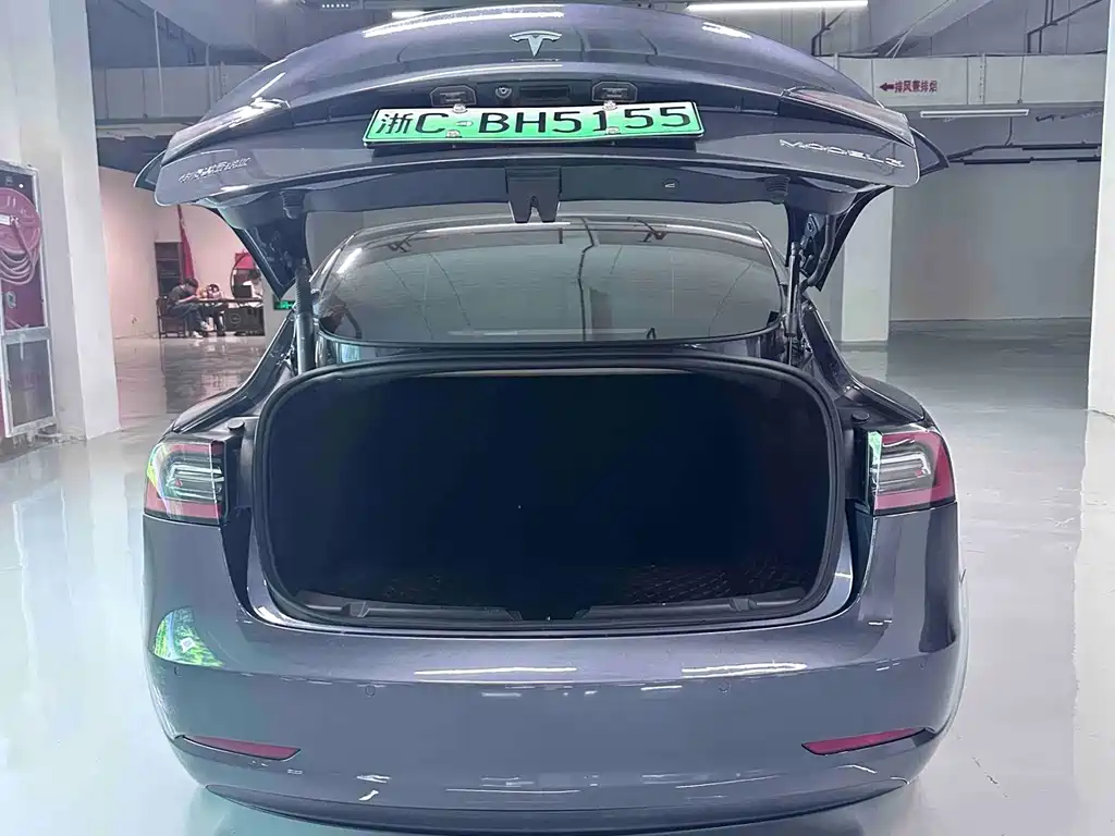 Model 3 2022 rear-wheel drive version купить на сайте DeffCars