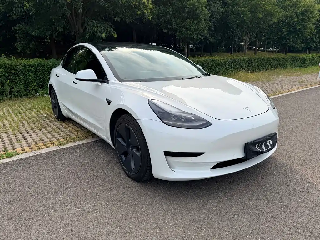 Model 3 2021 modified standard battery life rear drive upgrade version 3D1 купить на сайте DeffCars