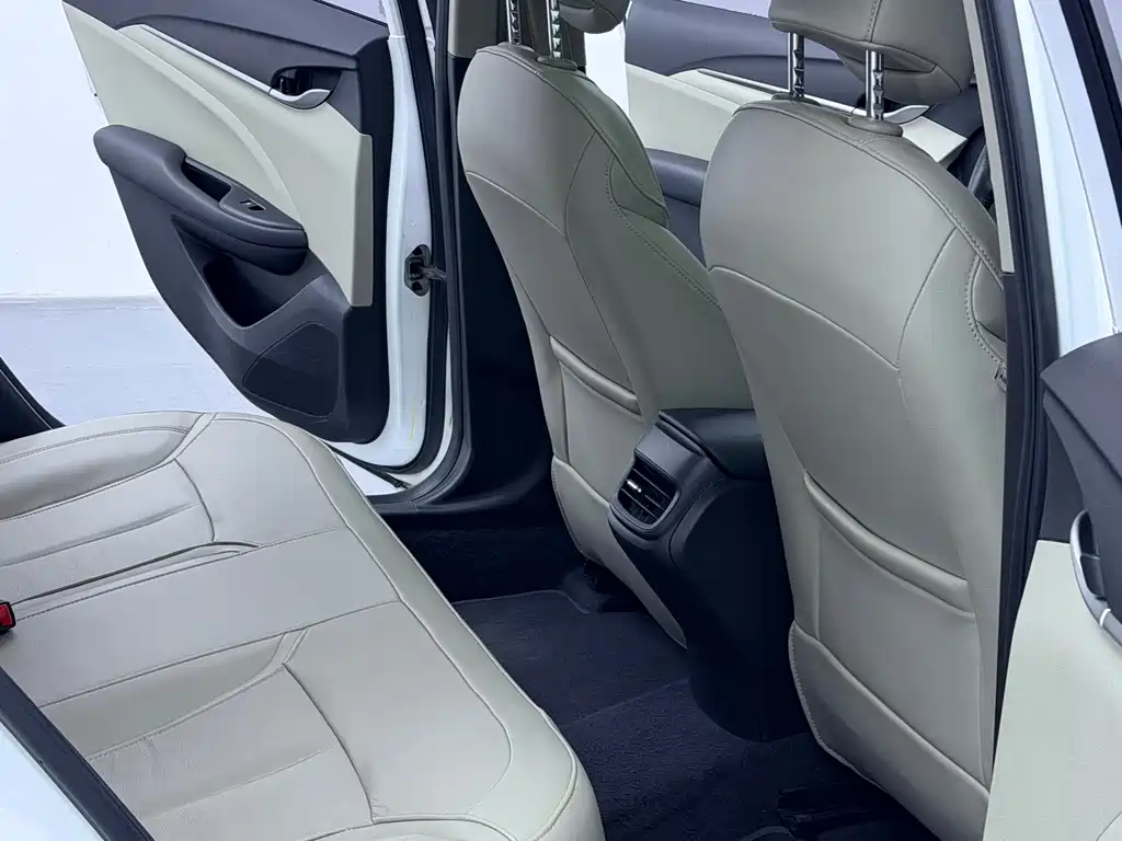 Yinglang 2019 15T dual-clutch interconnected elite model National V купить на сайте DeffCars