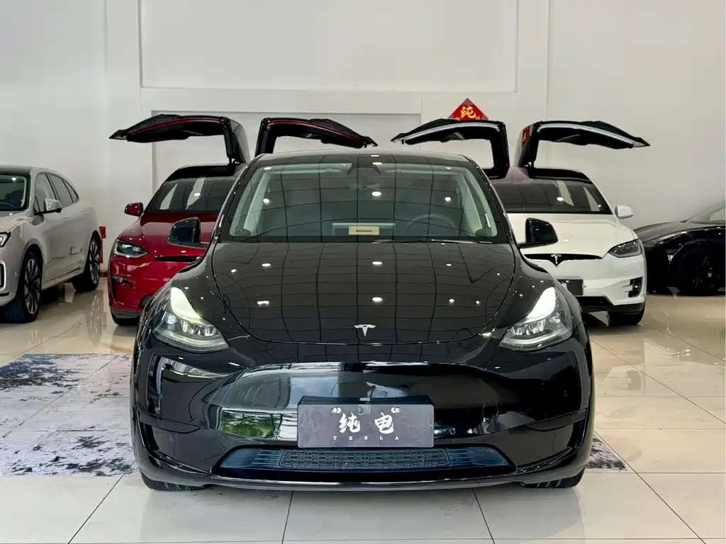 Model Y 2022 rear-wheel drive version купить на сайте DeffCars