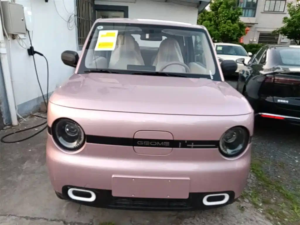 Panda 2025 Panda mini 210km Yuanqi Bear купить на сайте DeffCars