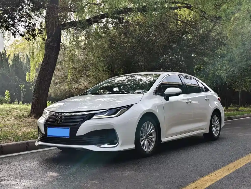 Asia Lion 2023 2.0L Elite Edition купить на сайте DeffCars