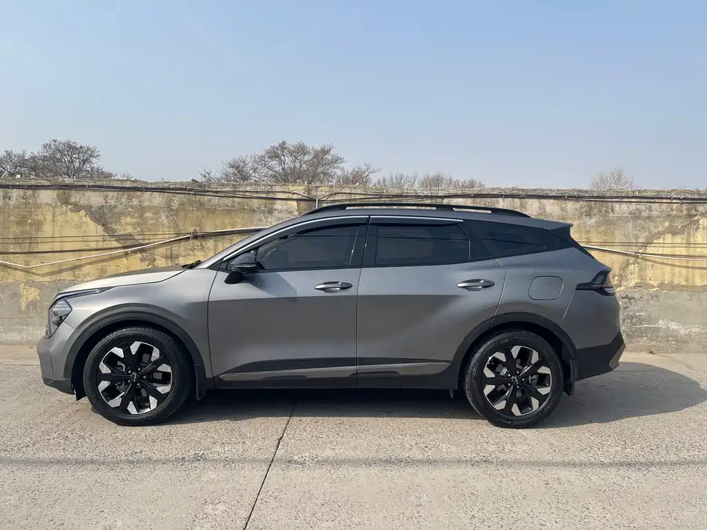 Lion Platinum expands the world 2023 2.0T two-wheel drive flagship version купить на сайте DeffCars