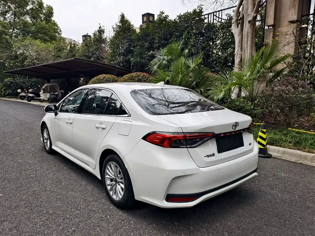 Asia Lion 2021 2.0L Deluxe Edition купить на сайте DeffCars