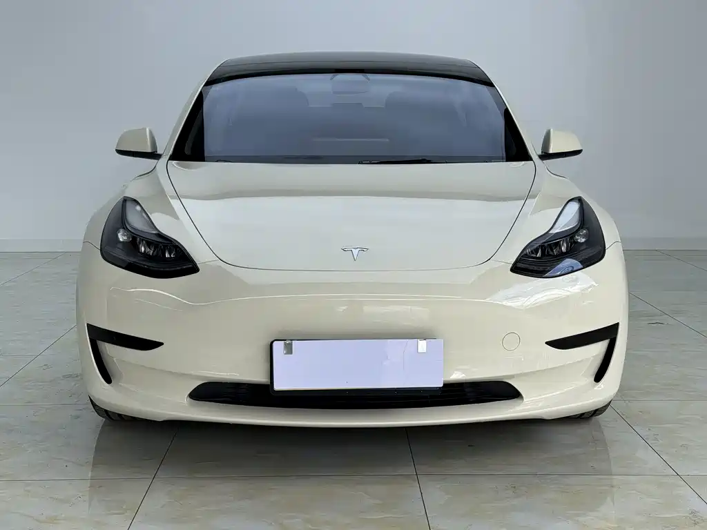 Model 3 2022 rear-wheel drive version купить на сайте DeffCars