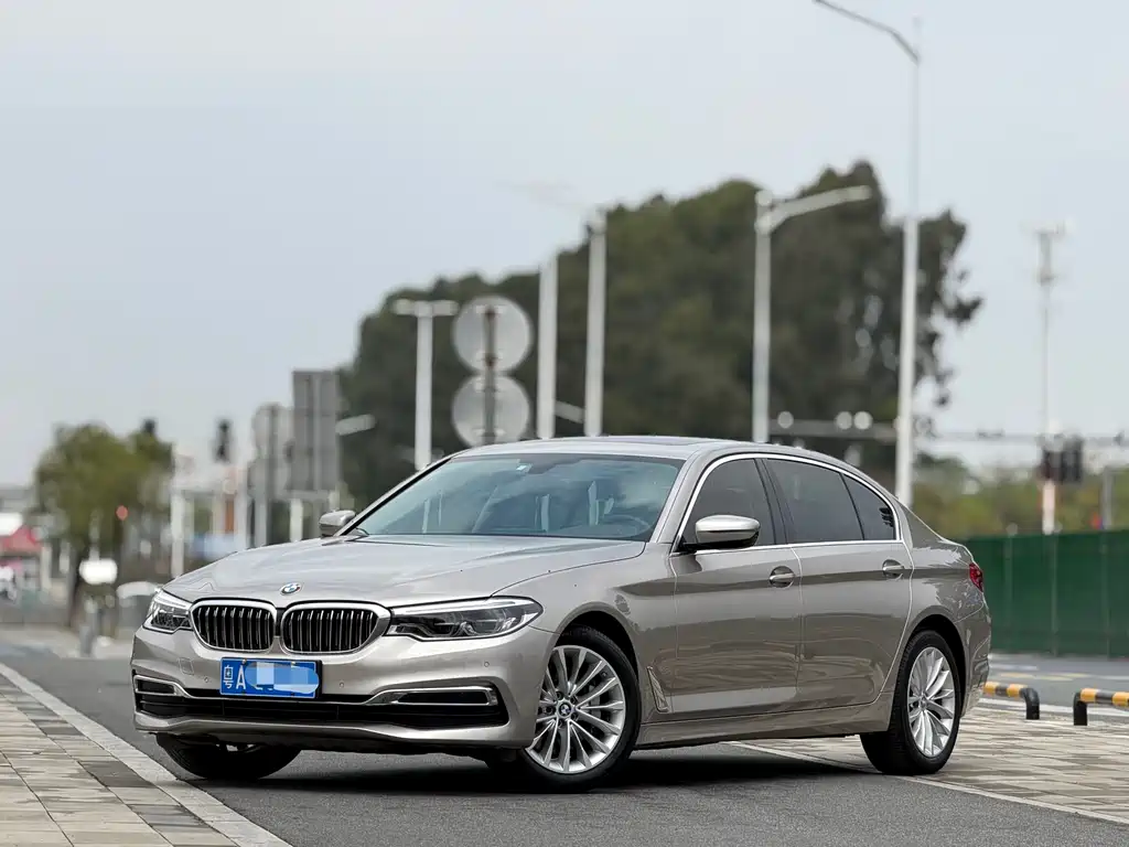 BMW 5 Series 2020 530Li Leading Luxury Package купить на сайте DeffCars
