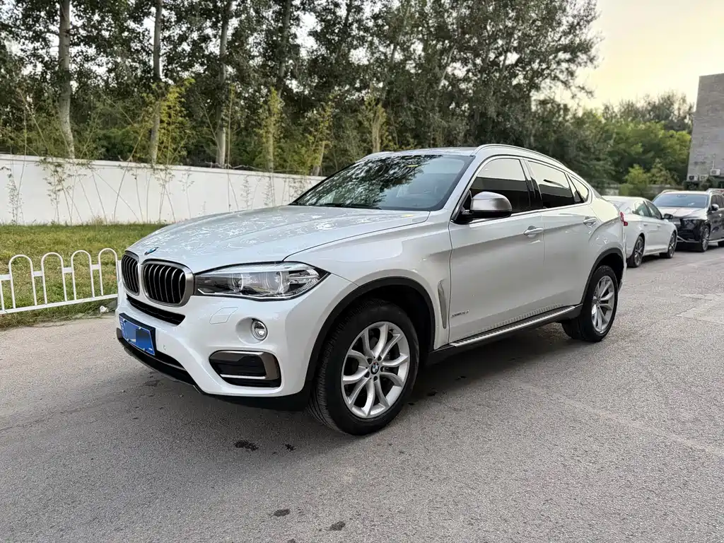 BMW X6 2019 xDrive28i M Sports Package купить на сайте DeffCars
