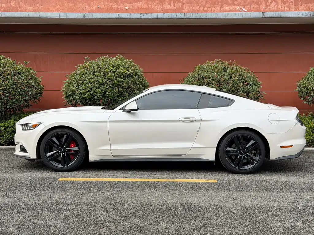 Mustang 2017 2.3T Performance Edition купить на сайте DeffCars