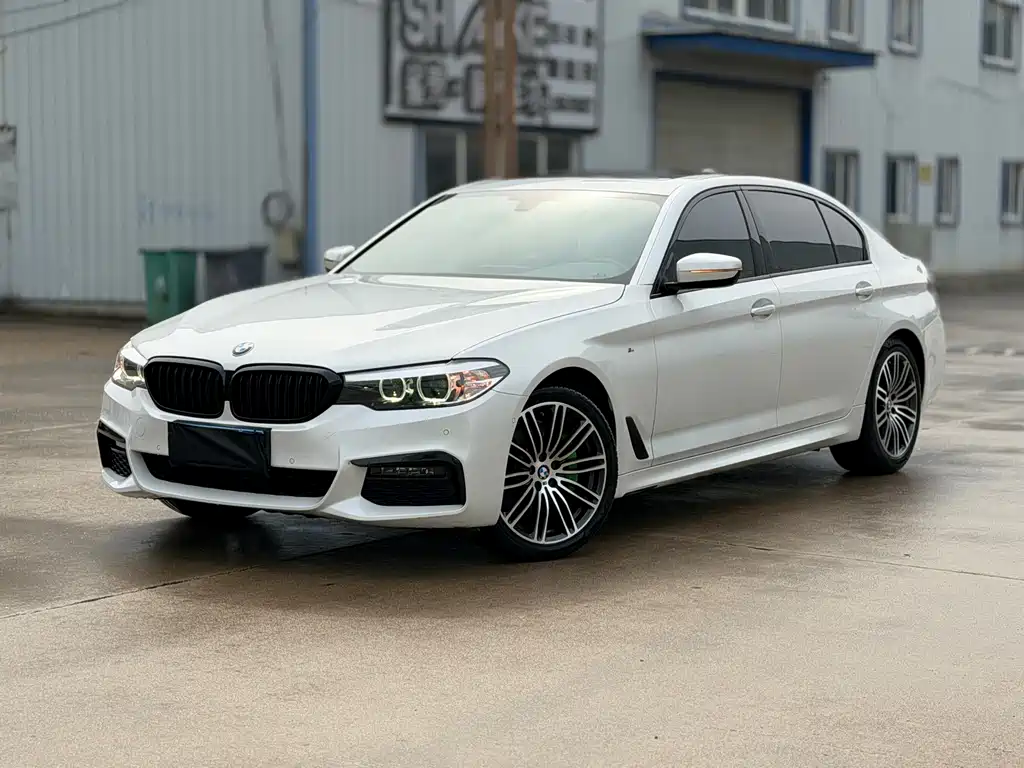 BMW 5 Series 2019 530Li Leading M Sports Package купить на сайте DeffCars