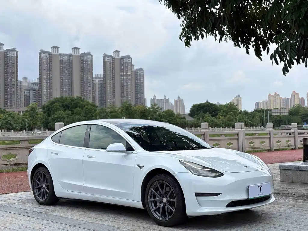 Model 3 imported 2019 standard range rear drive upgraded version купить на сайте DeffCars