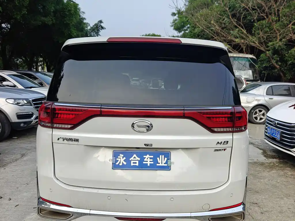 Trumpchi M8 2023 Lead Show Series 390T Exclusive Edition купить на сайте DeffCars