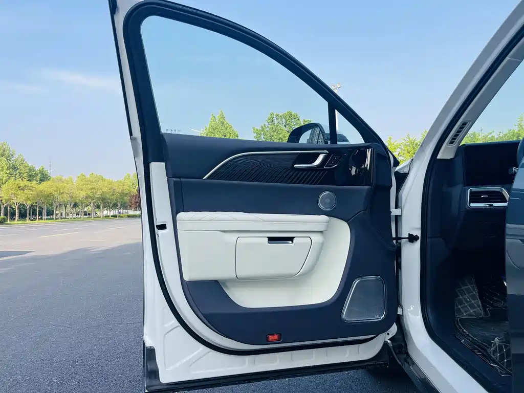 Hongqi E-HS9 2022 model 660km flag collar version four seats купить на сайте DeffCars
