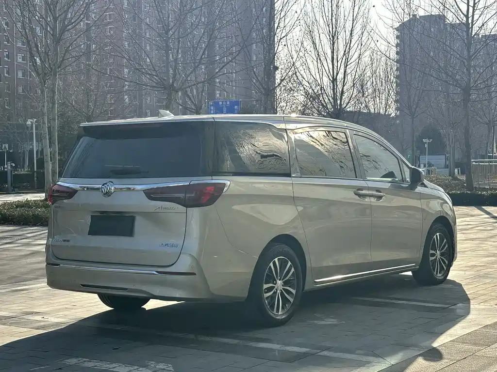 Buick GL8 2023 ES Lu Zun Exclusive Model купить на сайте DeffCars