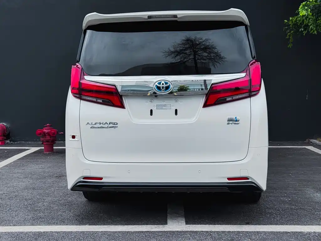 Alfa 2019 Shuangqing 2.5L Premium Edition купить на сайте DeffCars