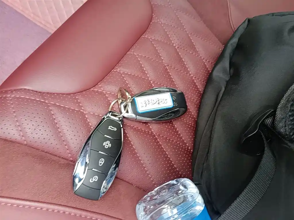 Hongqi HS5 2023 2.0T Qixiang Pro version купить на сайте DeffCars