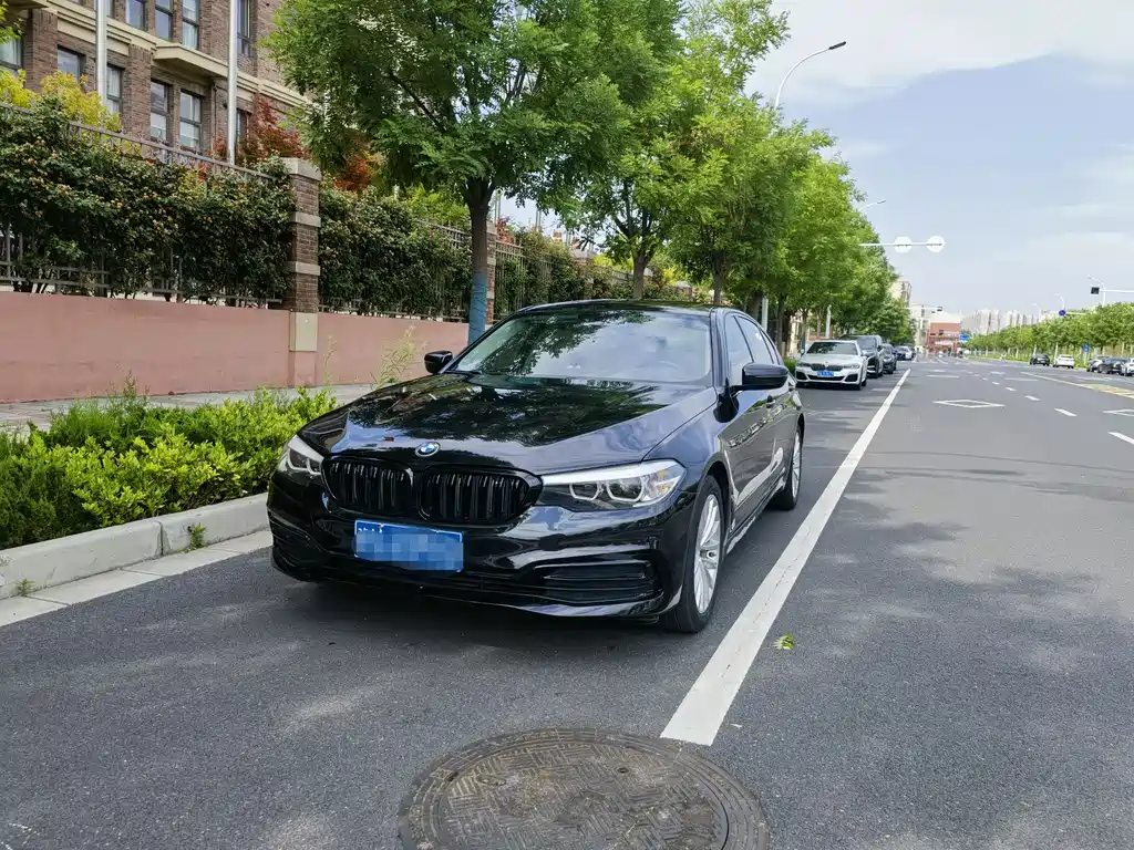 BMW 5 Series 2020 525Li Luxury Package купить на сайте DeffCars