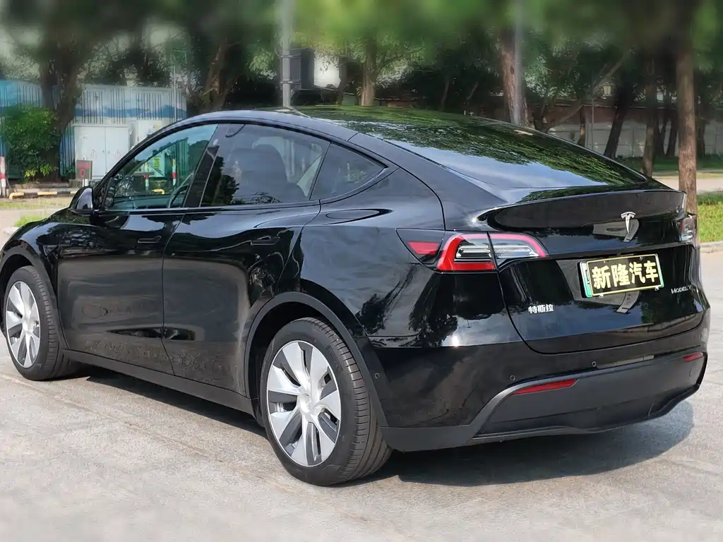 Model Y 2023 rear-wheel drive version купить на сайте DeffCars