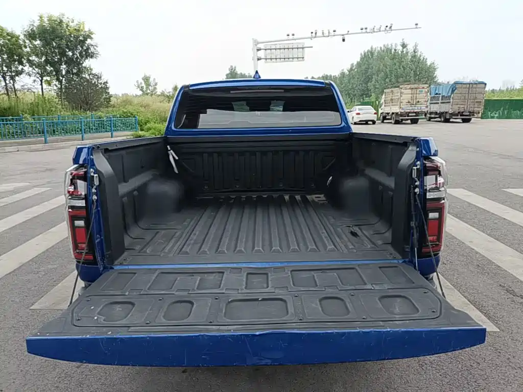 Cannon 2020 2.0T automatic diesel two-wheel drive comfort version GW4D20M купить на сайте DeffCars