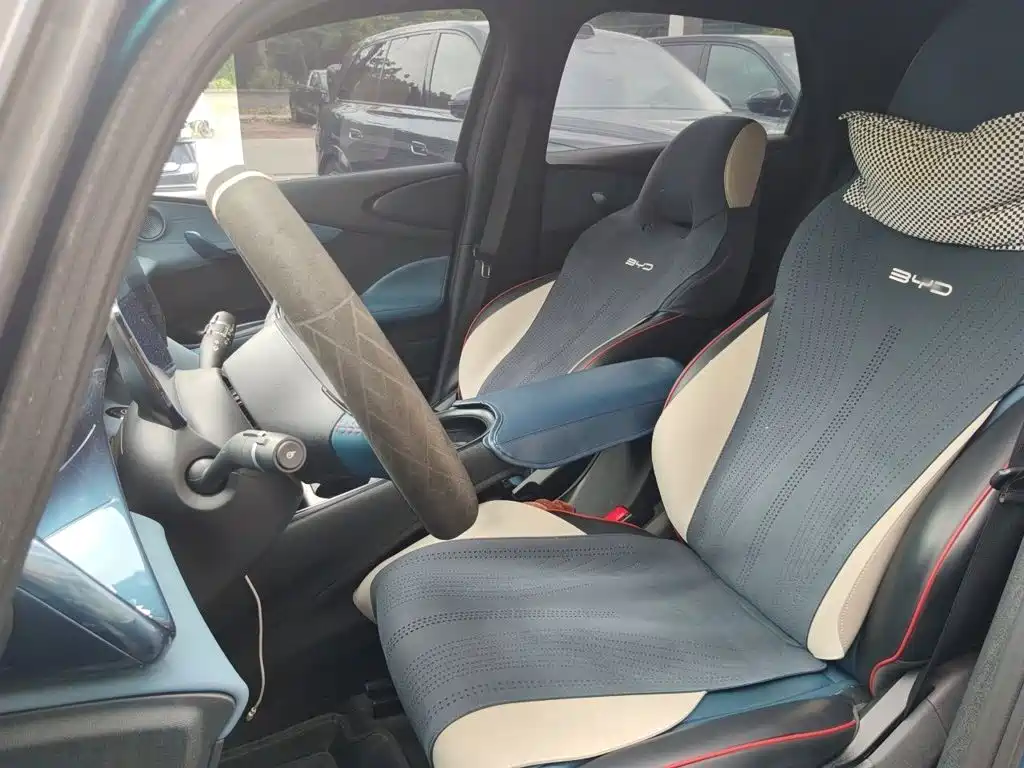 Dolphin 2021 401km Rider Edition купить на сайте DeffCars