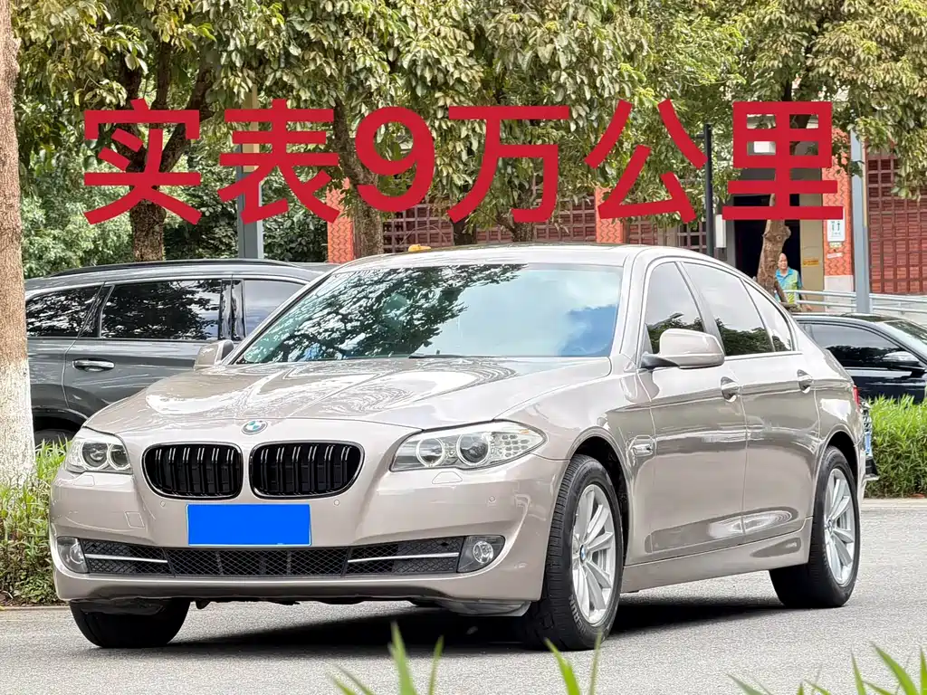 BMW 5 Series 2013 525Li luxury model купить на сайте DeffCars