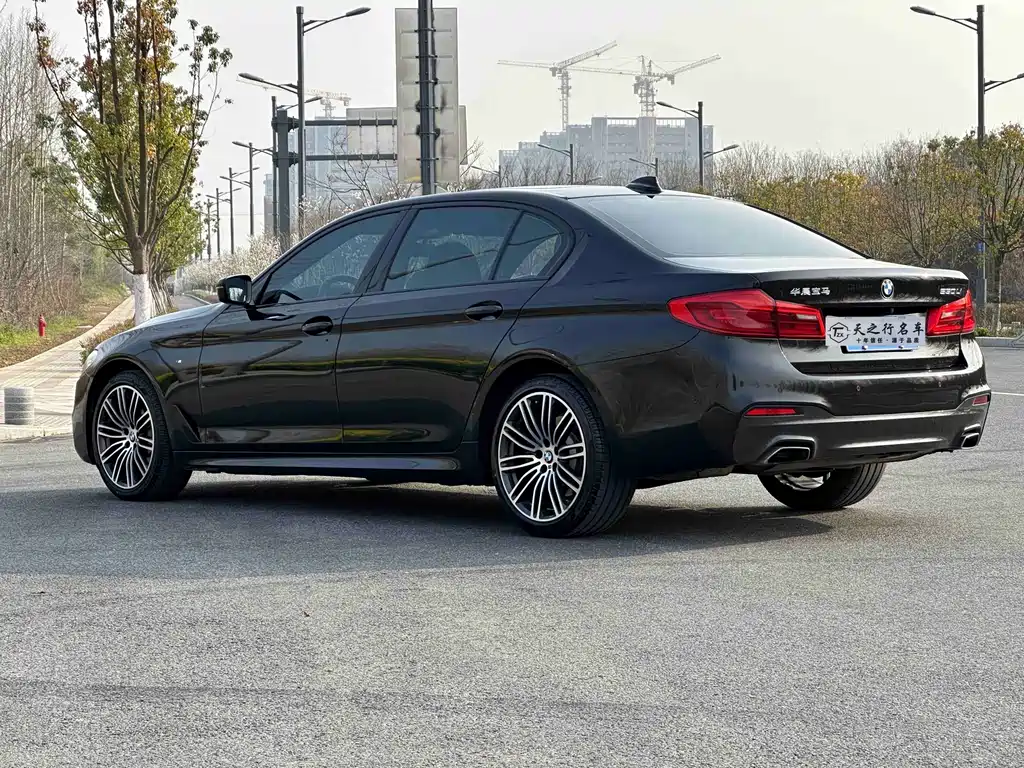 BMW 5 Series 2019 530Li Leading M Sports Package купить на сайте DeffCars