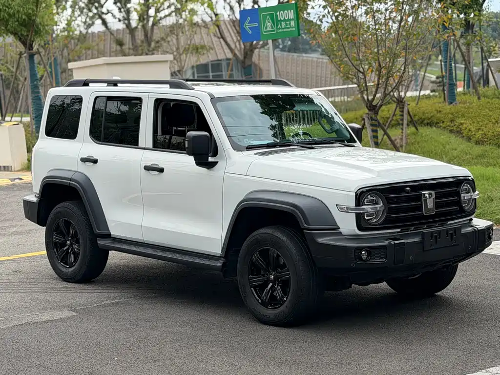 TANK 300 2021 off-road version 2.0T Conqueror купить на сайте DeffCars