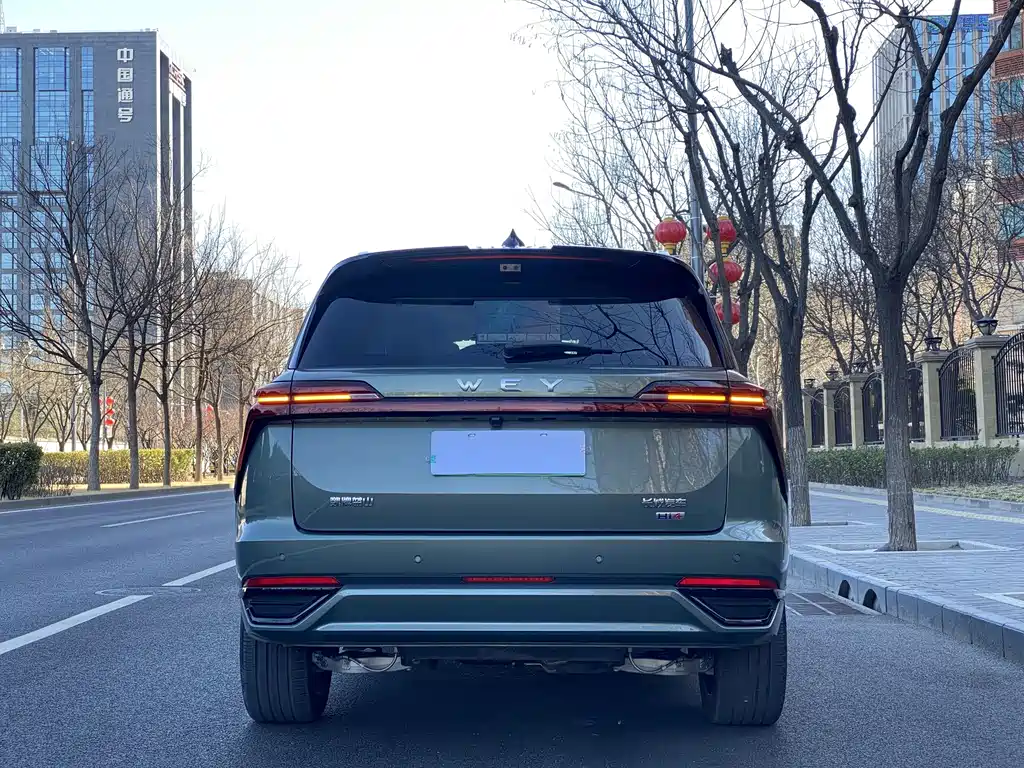Wei Brand Blue Mountain 2025 Four-wheel Drive Ultra купить на сайте DeffCars