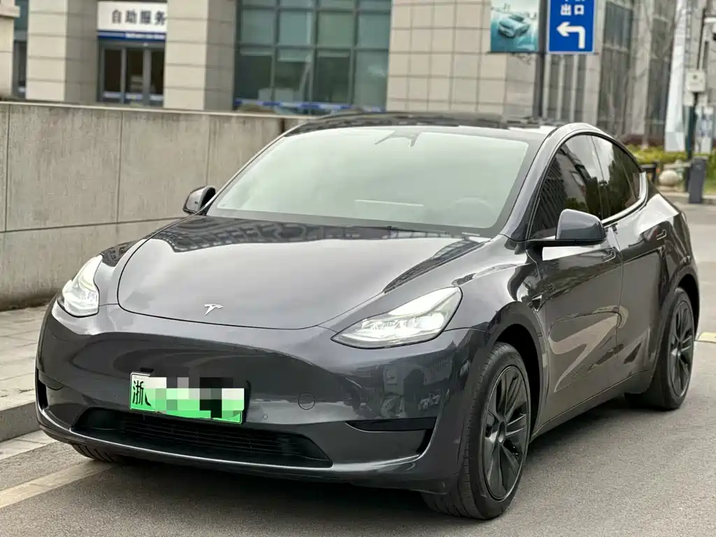 Model Y 2023 rear-wheel drive version купить на сайте DeffCars