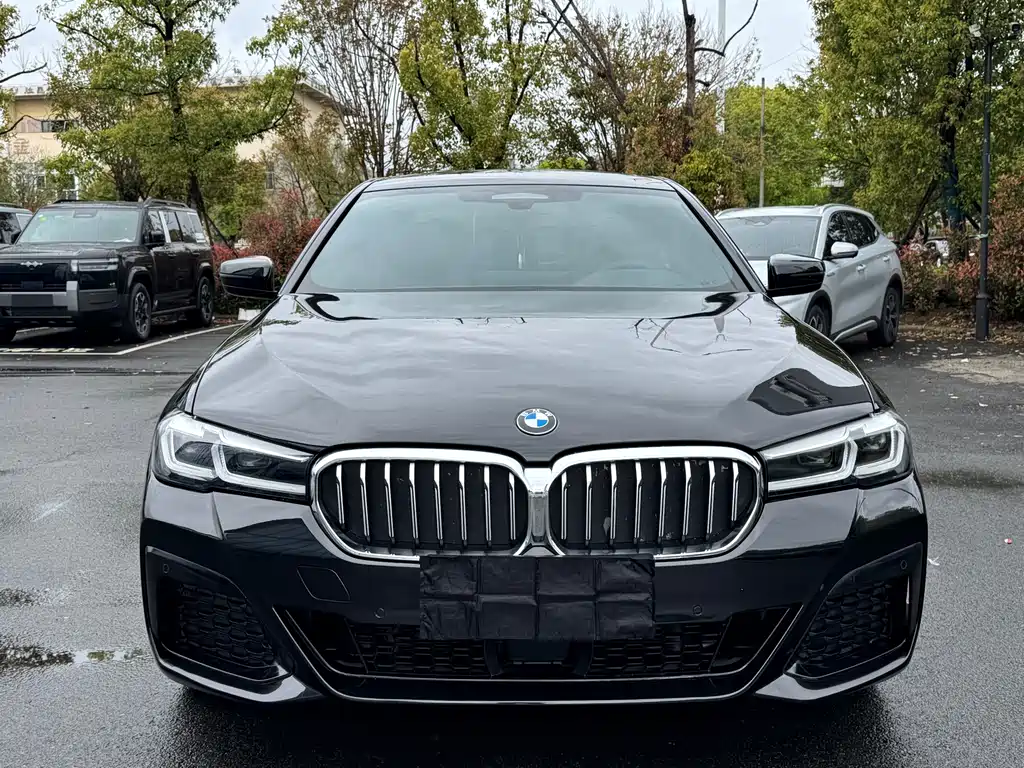 BMW 5 Series 2021 530Li Leading M Sports Package купить на сайте DeffCars
