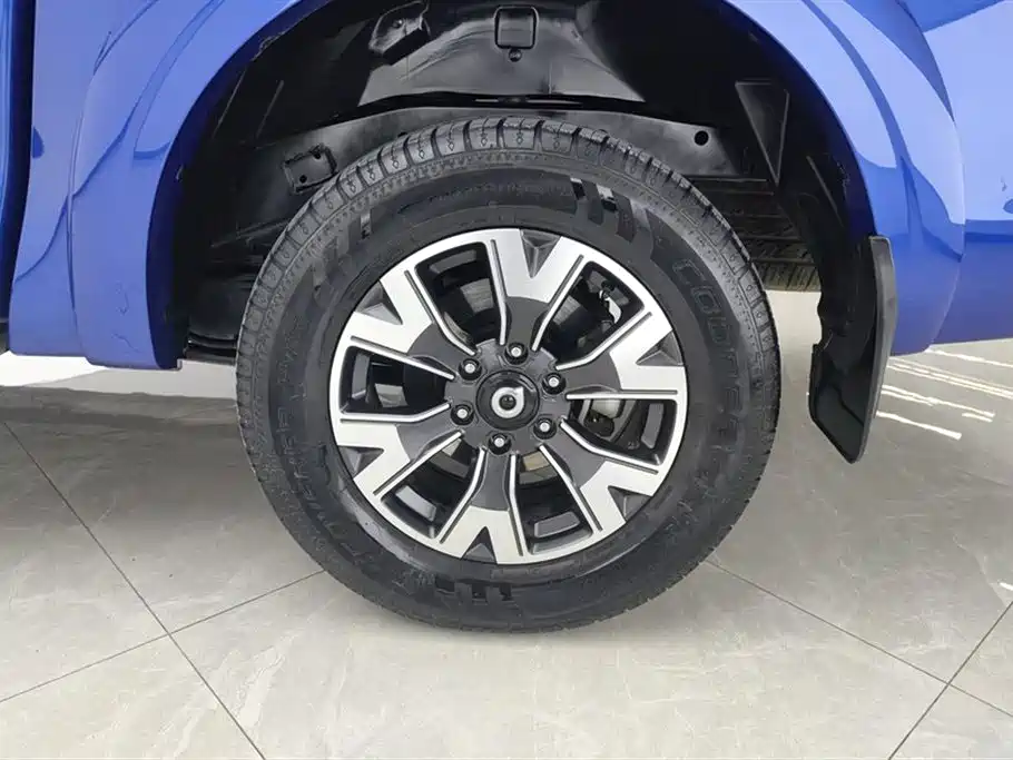 Cannon 2019 2.0T automatic gasoline two-wheel drive comfort version GW4C20B купить на сайте DeffCars