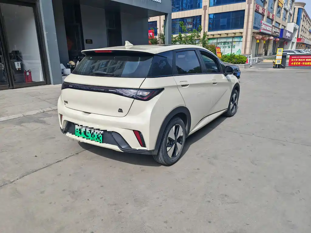 Dolphin 2023 420km Free Edition купить на сайте DeffCars