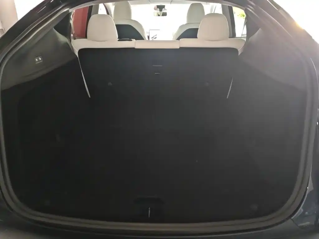 Model Y 2025 Long Range All-Wheel Drive First Edition купить на сайте DeffCars