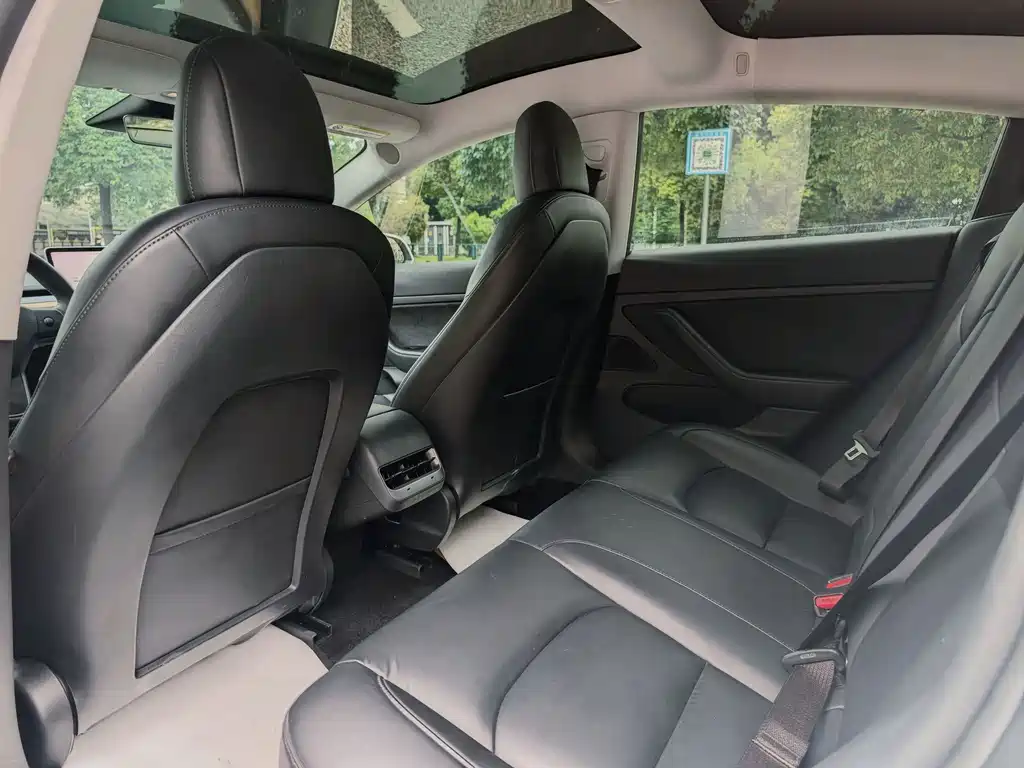 Model 3 2020 Standard Range Rear Drive Upgraded Version купить на сайте DeffCars