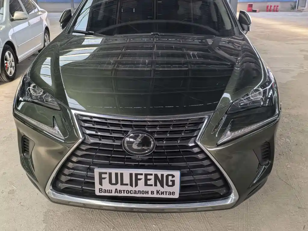Lexus NX 2020 200 AWD Fengshang Edition National VI купить на сайте DeffCars