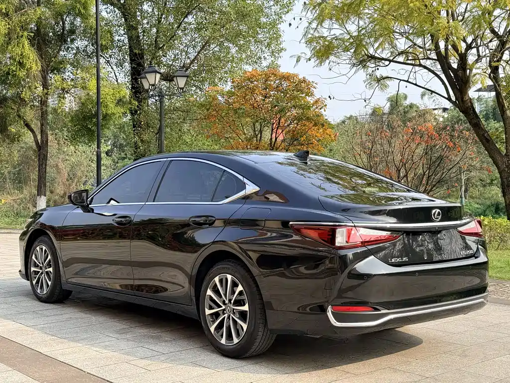Lexus ES 2022 200 Excellence Edition купить на сайте DeffCars