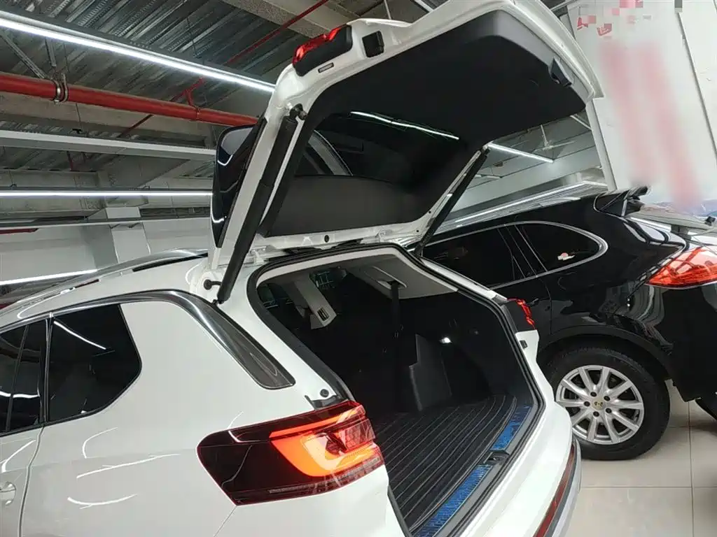 Lanjing 2021 380TSI four-wheel drive luxury Jijing Edition Pro купить на сайте DeffCars