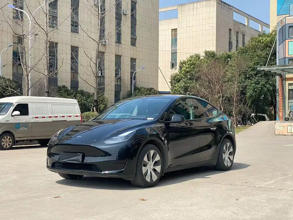 Model Y 2023 rear-wheel drive version купить на сайте DeffCars