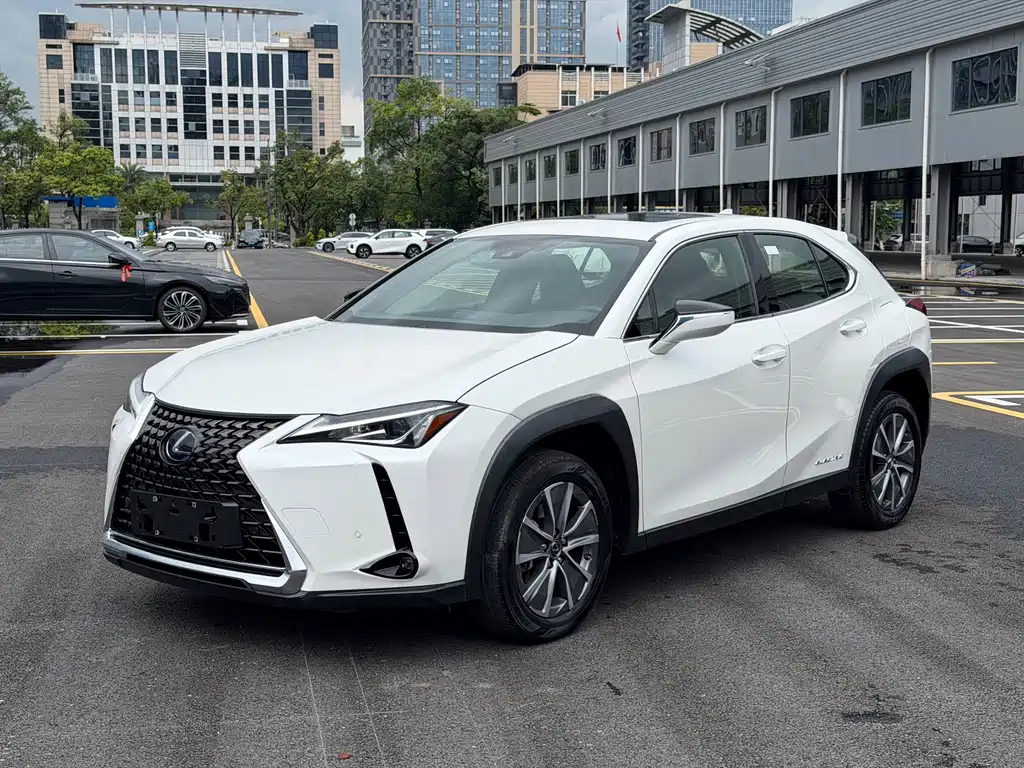 Lexus UX New Energy 2020 300e Pure Joy Edition купить на сайте DeffCars