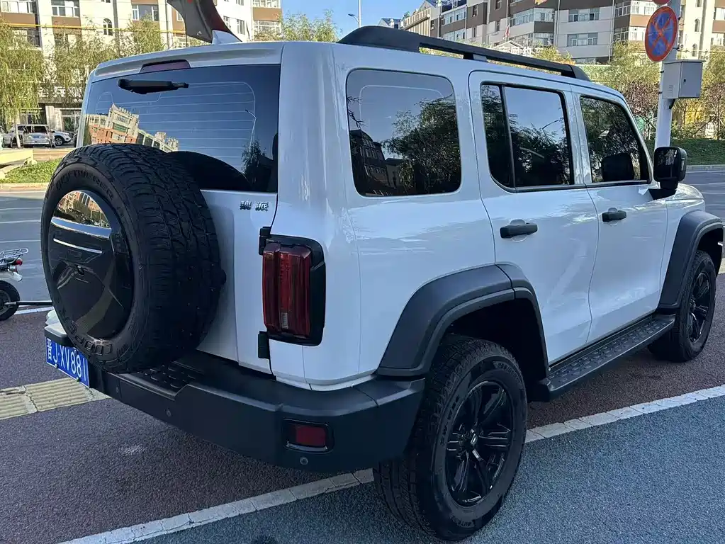 Tank 300 2021 Cross Country 2.0T Conqueror купить на сайте DeffCars