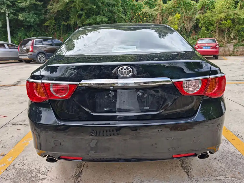 Reizhi 2010 2.5S Style Elite Edition купить на сайте DeffCars