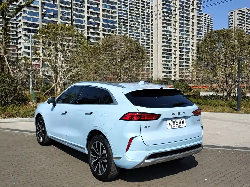Wei brand Mocha 2021 2.0T two-wheel drive special version купить на сайте DeffCars