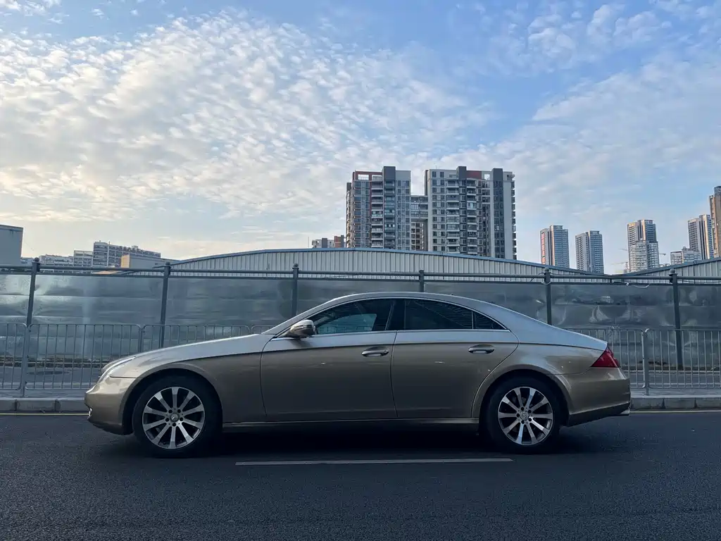 Mercedes-Benz CLS 2009 CLS 300 купить на сайте DeffCars