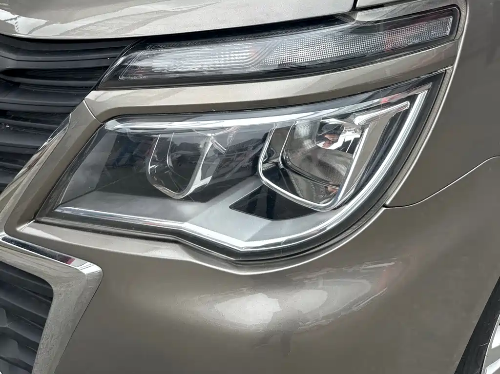 Lingzhi 2020 M5L 1.6L luxury model 7 seats купить на сайте DeffCars