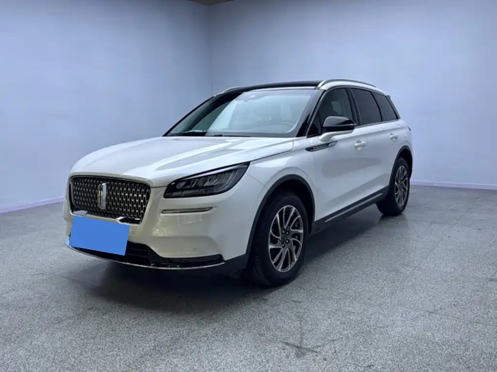 Adventurer 2020 2.0T four-wheel drive premium version купить на сайте DeffCars