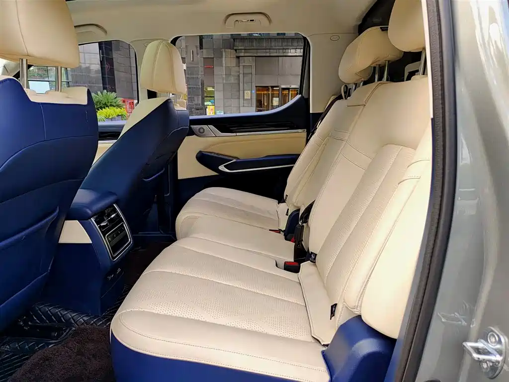 Shanhaipao 2023 3.0T V6 Gasoline Premium Edition купить на сайте DeffCars