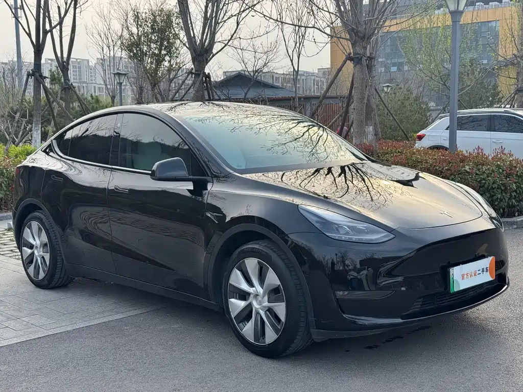 Model Y 2021 standard range rear-wheel drive version купить на сайте DeffCars