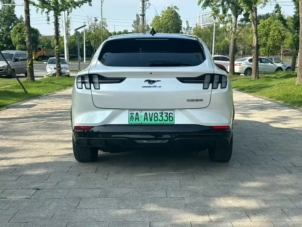 Ford Electric Horse 2021 Borderless Rear-Drive Deluxe Edition (Long Range) купить на сайте DeffCars