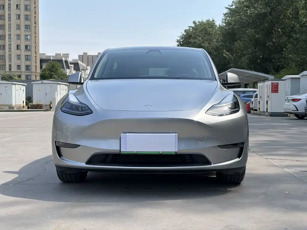 Model Y 2021 standard range rear-wheel drive version купить на сайте DeffCars