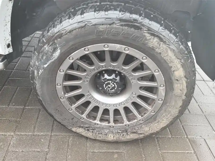 Cannon 2023 2.0T passenger version automatic diesel four-wheel drive comfort type GW4D20M купить на сайте DeffCars