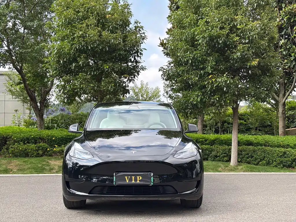 Model Y 2022 modified rear-wheel drive version купить на сайте DeffCars